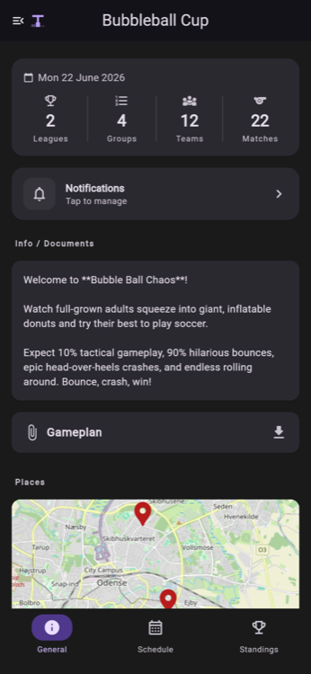 Tournamizer overview screen showing a tournament dashboard